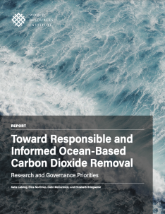 Cover image.