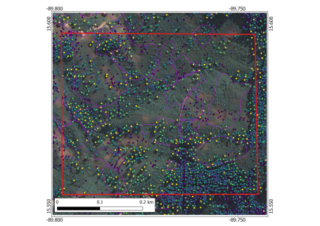 Brighter yellow dots indicate larger trees, and darker dots indicate smaller trees.