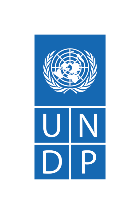 UNDP logo.