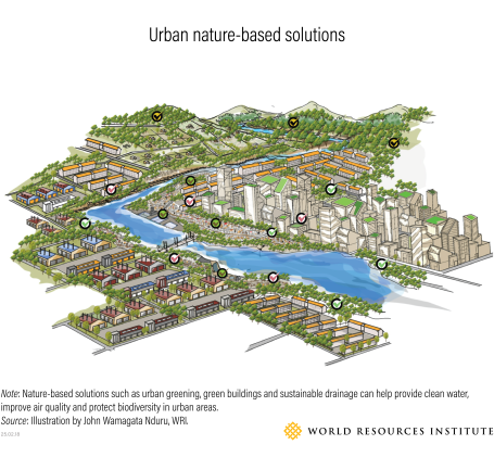 Illustration of urban nature-based solutions such as greenspaces and sustainable drainage.