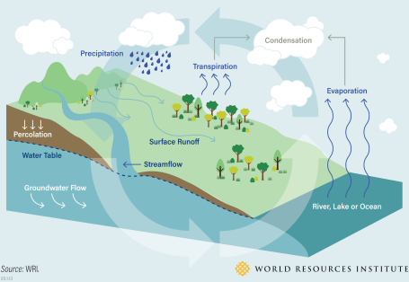 Water cycle graphic.