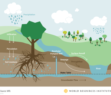 Water in landscapes graphic.