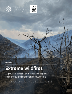 Front cover of the research paper Extreme Wildfires